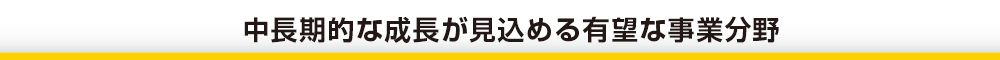 中期的な成長が見込める有望な事業分野